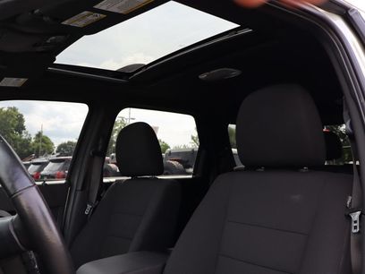 Used 2010 Ford Escape XLT