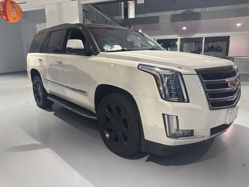 Used 2019 Cadillac Escalade Luxury image 3