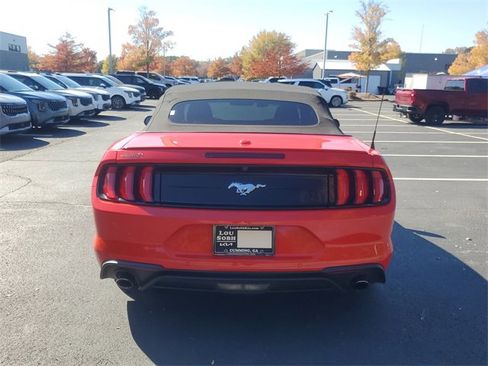Used 2019 Ford Mustang Premium w/ Equipment Group 201A image 5