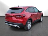 New 2025 Ford Escape Active w/ Tech Pack #1 image 4