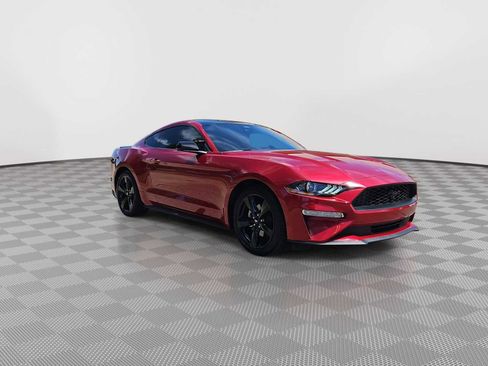 Used 2023 Ford Mustang Coupe w/ Equipment Group 101A RWD image 2