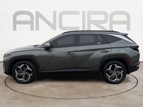 Used 2023 Hyundai Tucson Limited image 7