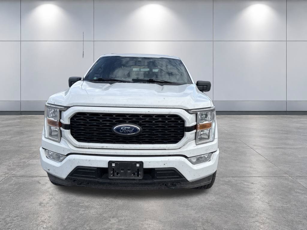 Used 2021 Ford F150 XL w/ STX Appearance Package AWD/4WD image 2