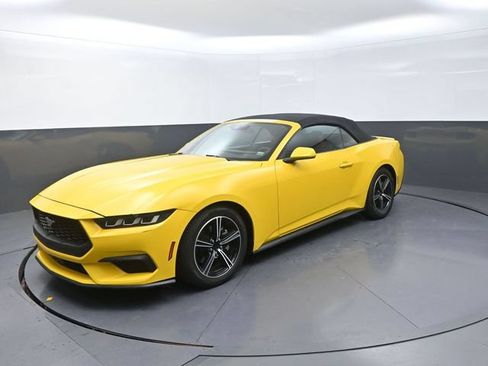 Used 2024 Ford Mustang Premium RWD image 3
