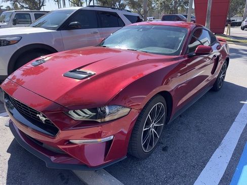 Used 2023 Ford Mustang Premium w/ Equipment Group 201A image 1