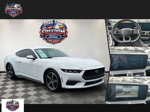 Used 2024 Ford Mustang Premium RWD image 1