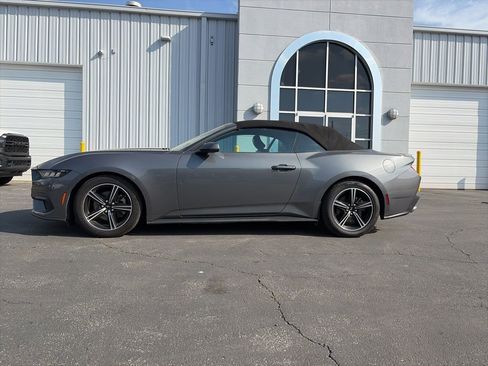 Used 2024 Ford Mustang Premium image 4