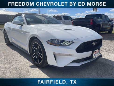 Used 2022 Ford Mustang Premium image 1