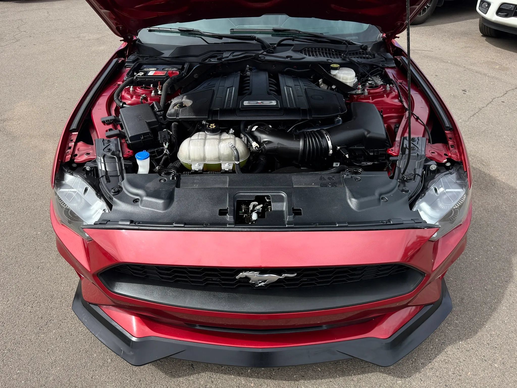Used 2022 Ford Mustang GT Premium w/ Equipment Group 401A RWD image 32