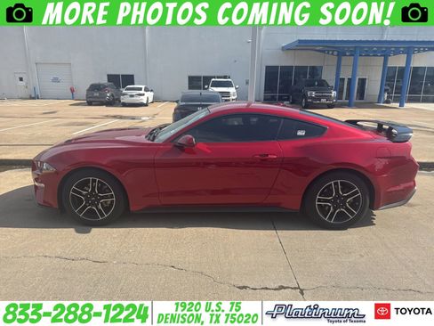 Used 2020 Ford Mustang Coupe w/ Equipment Group 101A RWD image 1