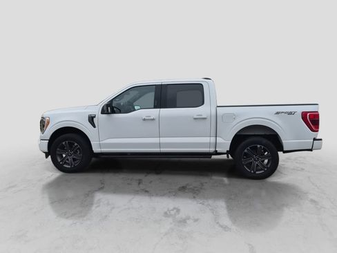 Used 2023 Ford F150 XLT w/ Equipment Group 302A High AWD/4WD image 5