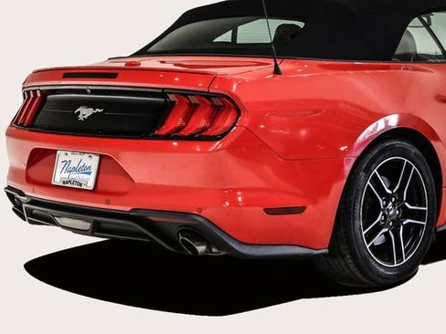 Used 2020 Ford Mustang Premium image 7