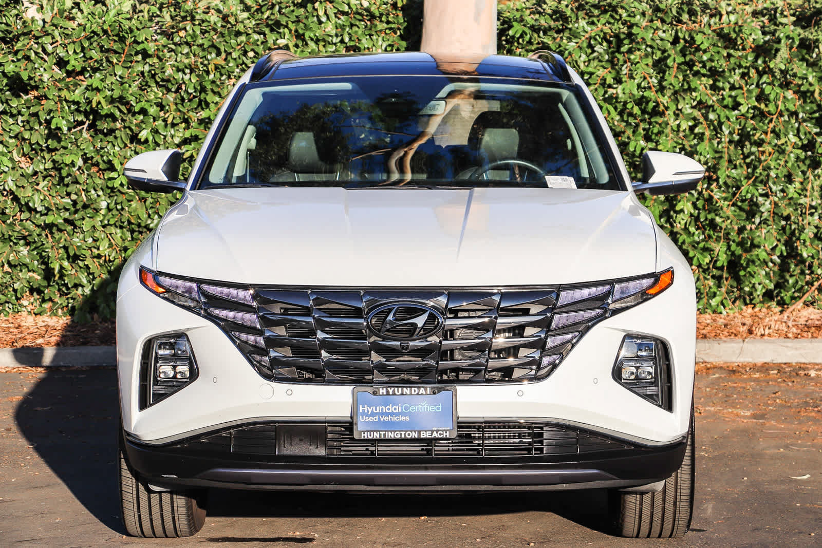 Certified 2024 Hyundai Tucson Limited AWD/4WD image 2