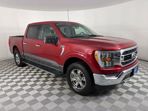 Certified 2021 Ford F150 XLT w/ Equipment Group 302A High AWD/4WD image 1