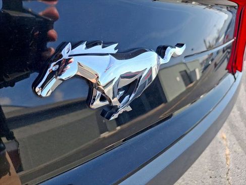 Used 2019 Ford Mustang Convertible image 15