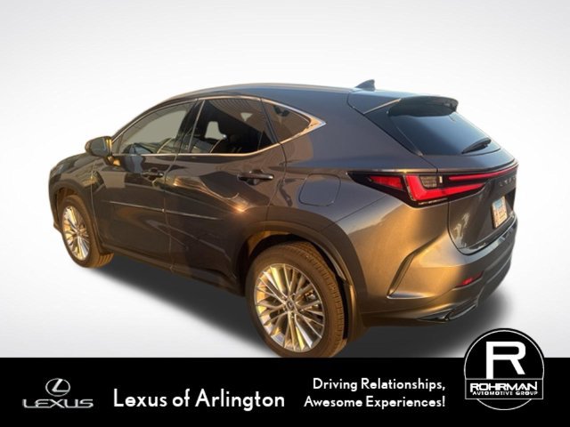Used 2025 Lexus NX 350h AWD w/ Accessory Package (2T) image 5