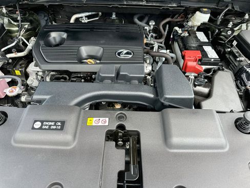 Used 2025 Lexus NX 250 FWD w/ Cold Area Package image 31