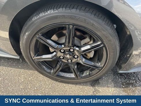 Used 2019 Ford Mustang EcoBoost w/ Black Accent Package image 9