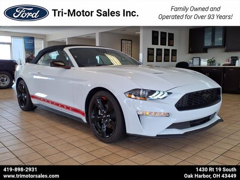 Used 2023 Ford Mustang Premium w/ Equipment Group 201A RWD image 1