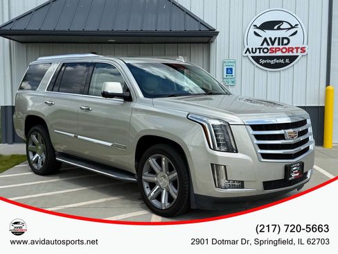 Used 2015 Cadillac Escalade Luxury image 1