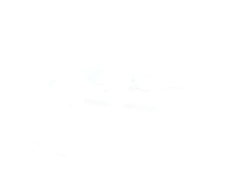 Used 2024 Hyundai Palisade Calligraphy AWD/4WD image 41