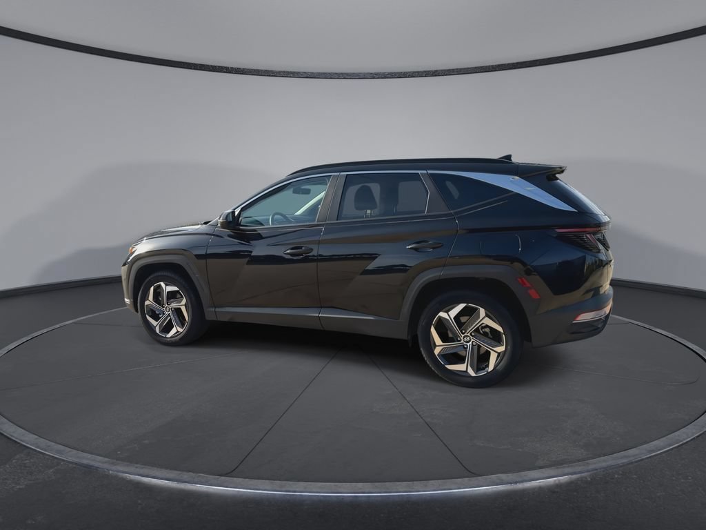 Used 2023 Hyundai Tucson SEL w/ Convenience Package AWD/4WD image 6