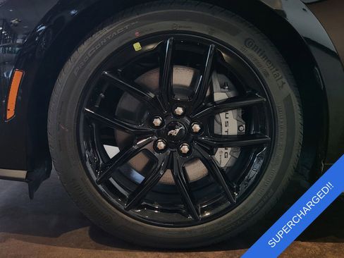 New 2025 Ford Mustang GT Premium w/ Mustang Nite Pony Package image 7