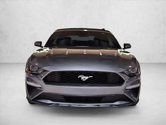 Used 2023 Ford Mustang Premium RWD image 2