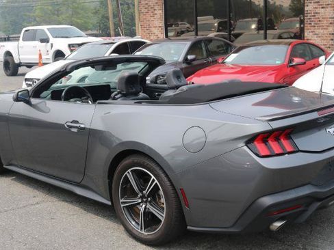 Used 2024 Ford Mustang Premium RWD image 5