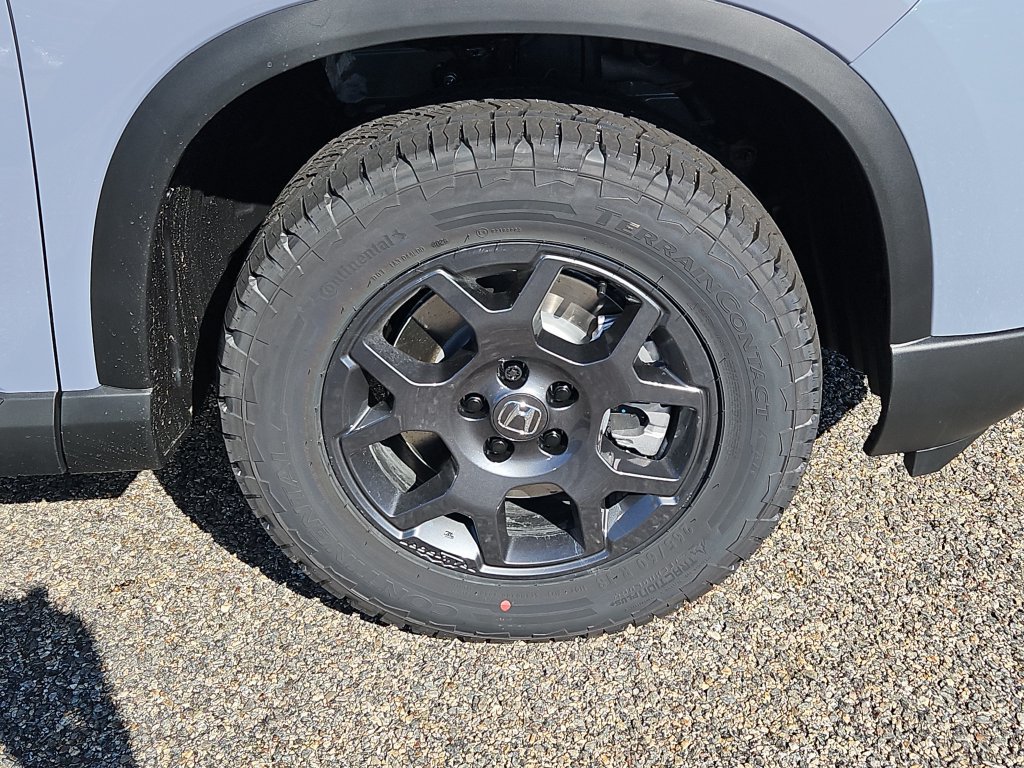 New 2026 Honda Pilot TrailSport image 4