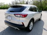 Used 2020 Ford Escape SE image 6