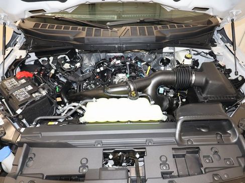 New 2025 Ford F150 XLT w/ Equipment Group 303A High image 33