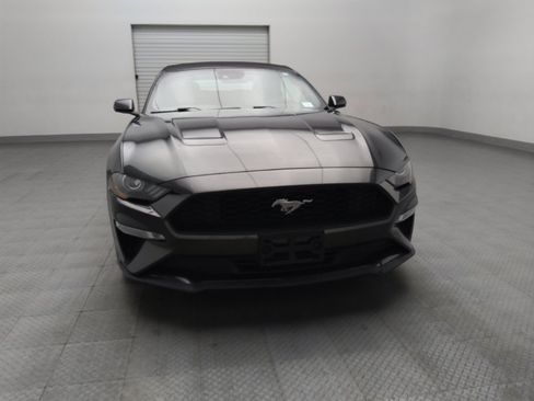 Used 2019 Ford Mustang Premium w/ Equipment Group 201A image 14