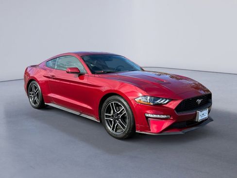 Used 2019 Ford Mustang Coupe w/ Equipment Group 101A image 7