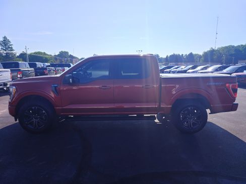 Used 2021 Ford F150 XLT w/ Equipment Group 302A High image 2