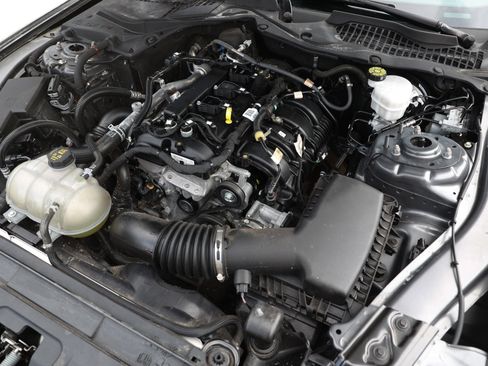 Used 2023 Ford Mustang Coupe w/ Equipment Group 101A RWD image 49