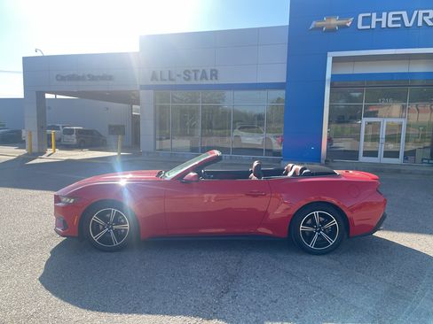 Used 2024 Ford Mustang Premium image 3