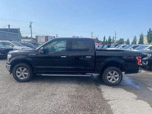 Used 2020 Ford F150 XLT w/ Equipment Group 302A Luxury AWD/4WD image 3