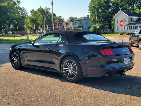 Used 2016 Ford Mustang Premium w/ Equipment Group 201A RWD image 5