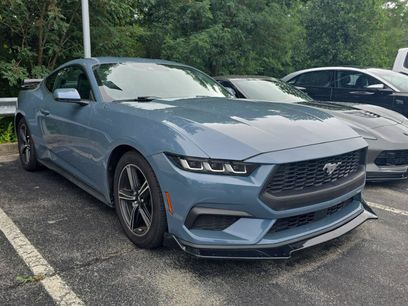 Used 2024 Ford Mustang Premium