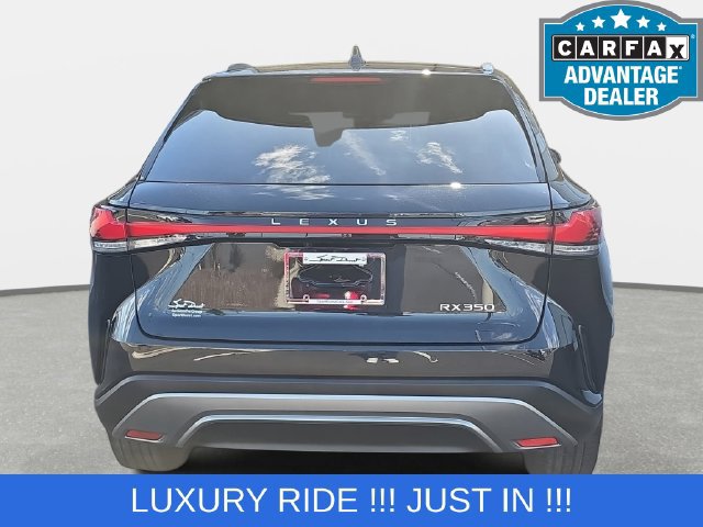 Used 2023 Lexus RX 350 Premium w/ Cold Area Package FWD image 6