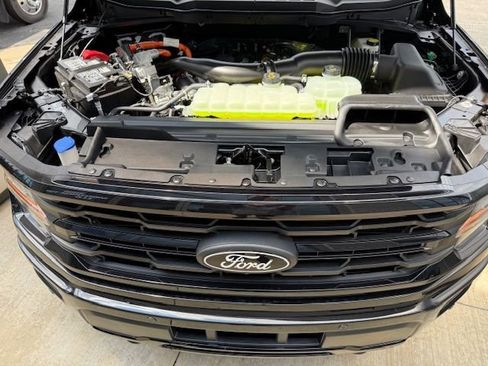 New 2025 Ford F150 XLT w/ Equipment Group 302A MID image 39