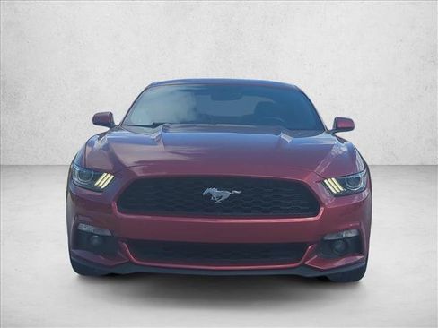 Used 2017 Ford Mustang Premium w/ Ecoboost Performance Package RWD image 2