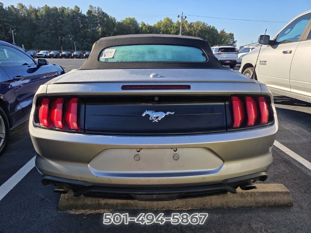 Used 2023 Ford Mustang Premium RWD image 5
