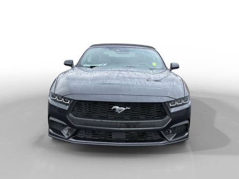 Used 2024 Ford Mustang Premium image 8