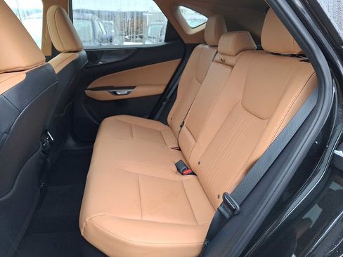 Used 2023 Lexus NX 350h AWD image 7