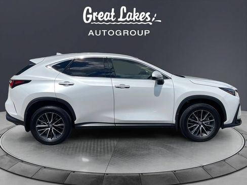Used 2024 Lexus NX 350h AWD image 6