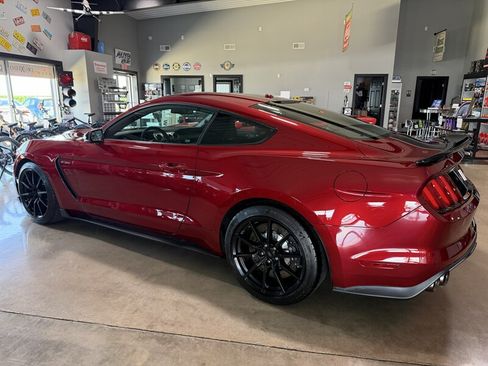 Used 2018 Ford Mustang Shelby GT350 w/ Convenience Package RWD image 2