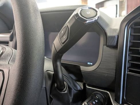 New 2025 Ford F150 STX w/ LOBO Package image 19