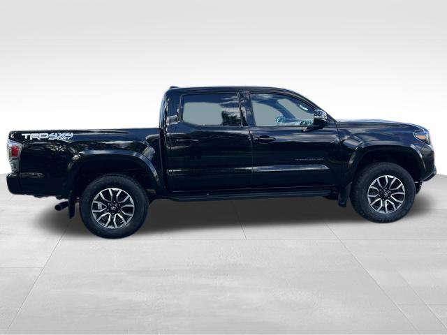 Used 2023 Toyota Tacoma TRD Sport w/ Black Out Package (TMS) AWD/4WD image 6